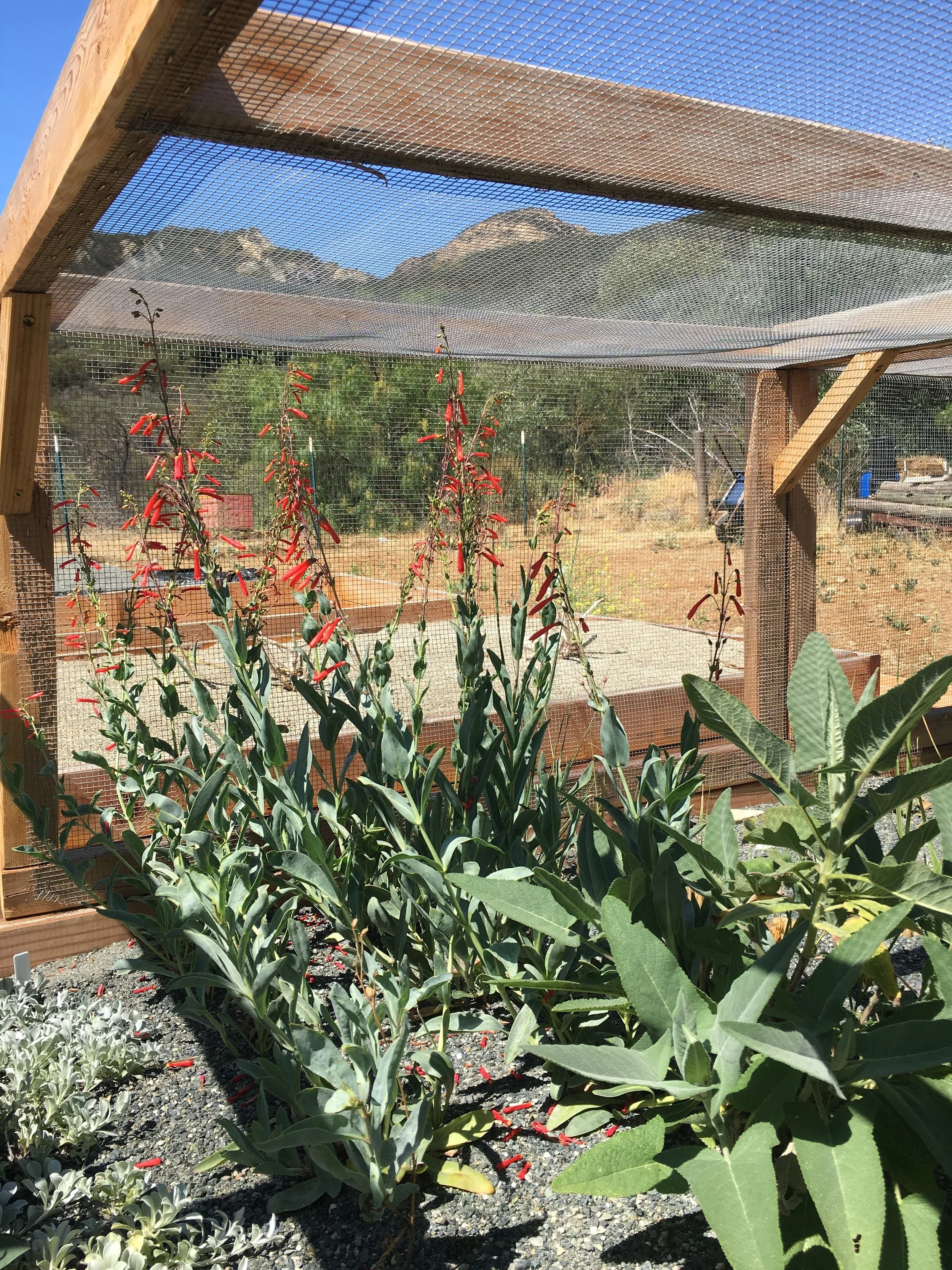 General Nursery Photos 6.JPG