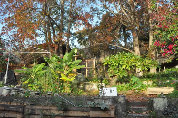 Permabee at Elanora Heights