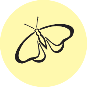 Pc-Icons-Principle-12.gif