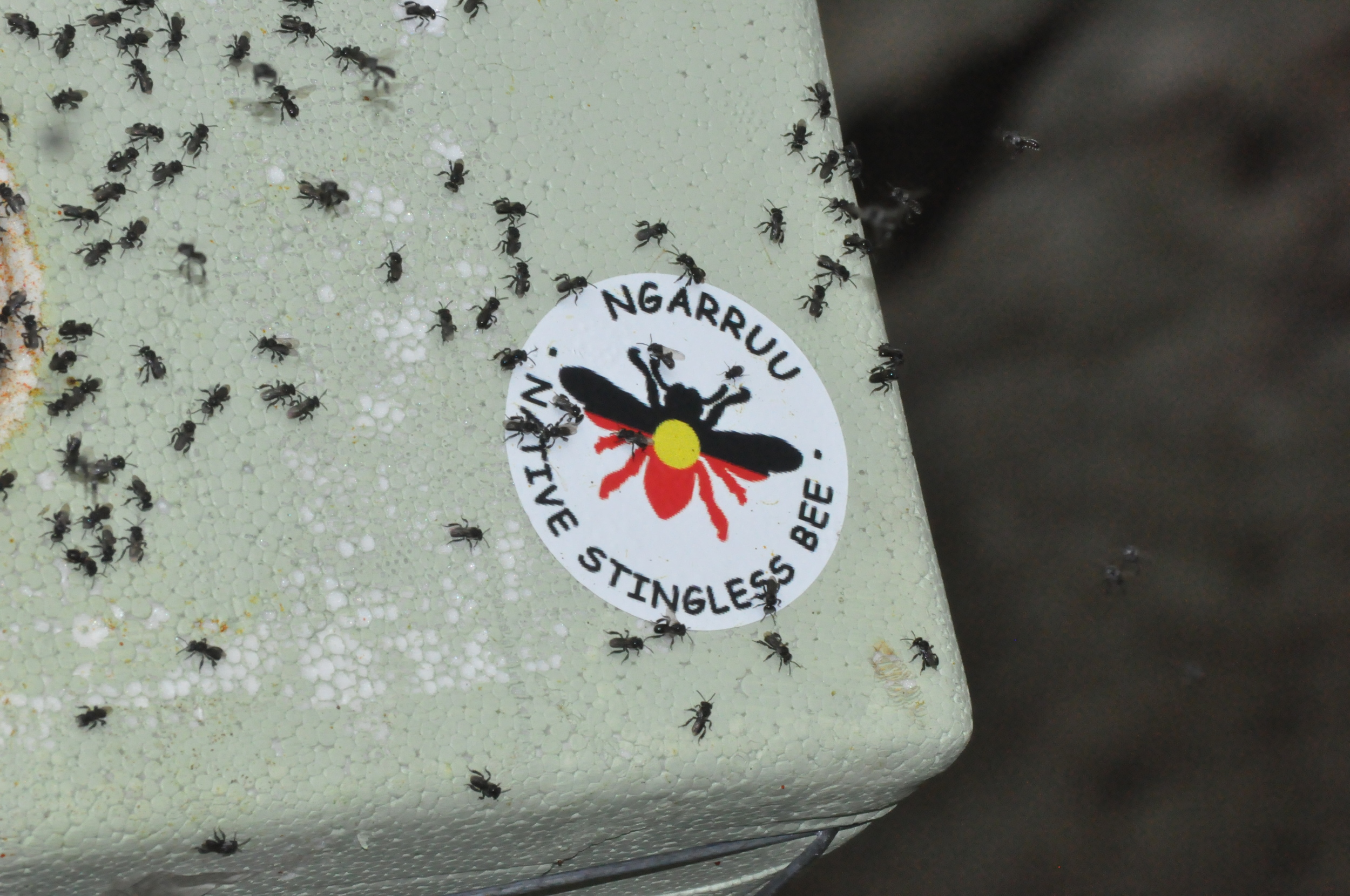 ngarruu sticker.JPG