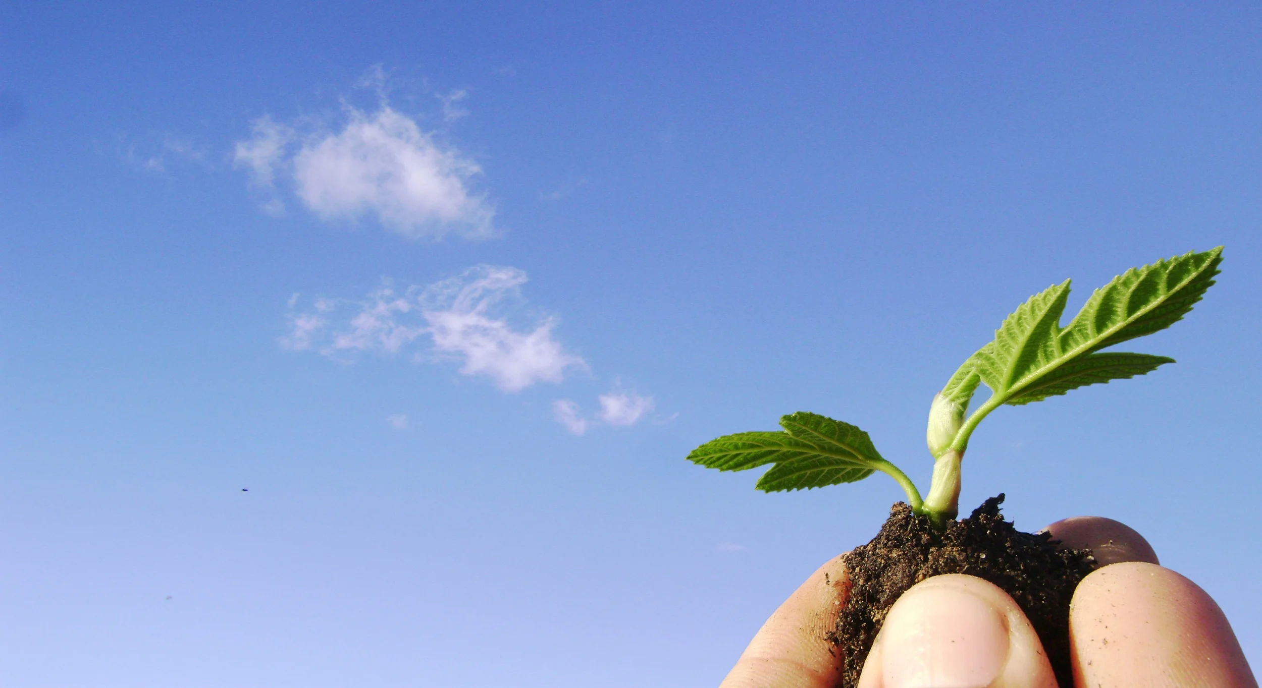 What's On | December 2014