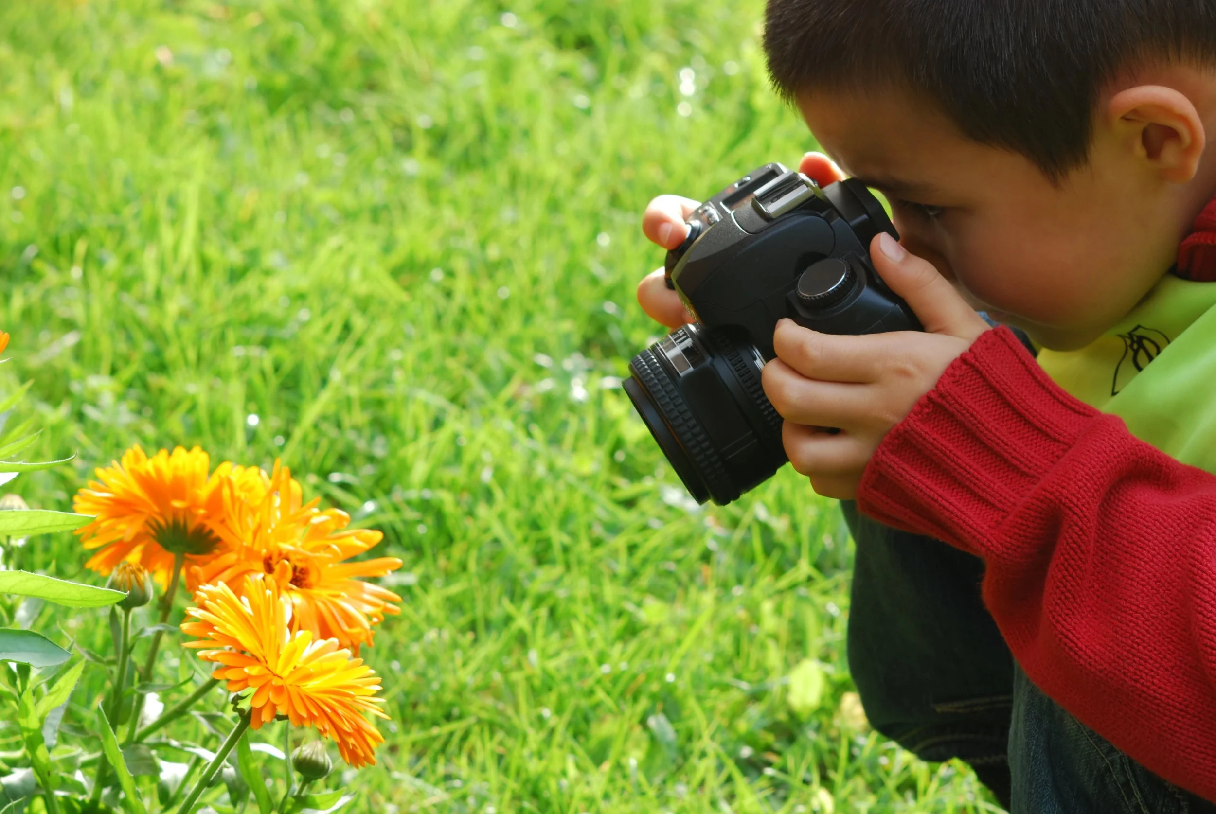 Permaculture Photo competition