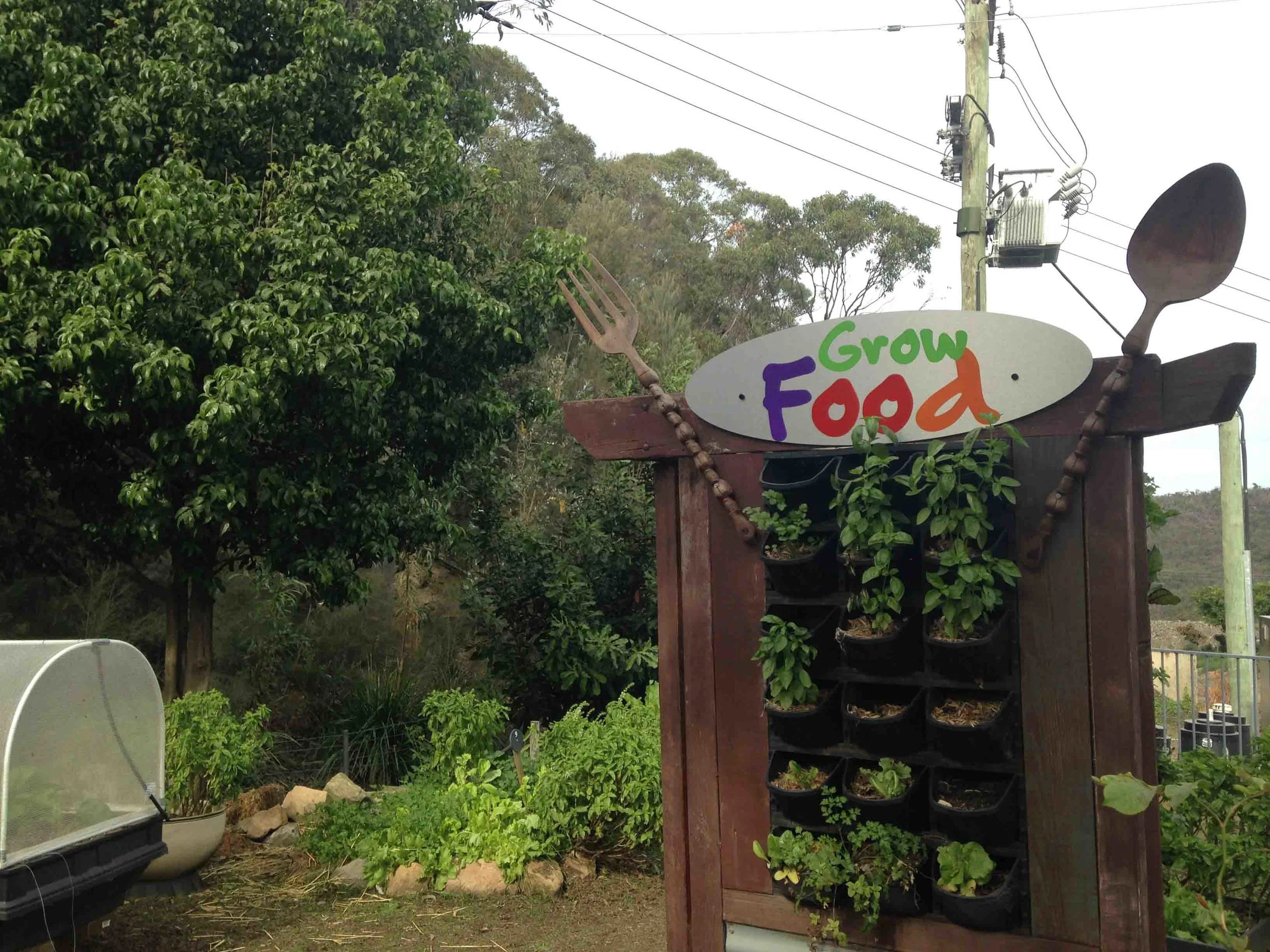 Permabee & Kombucha Workshop