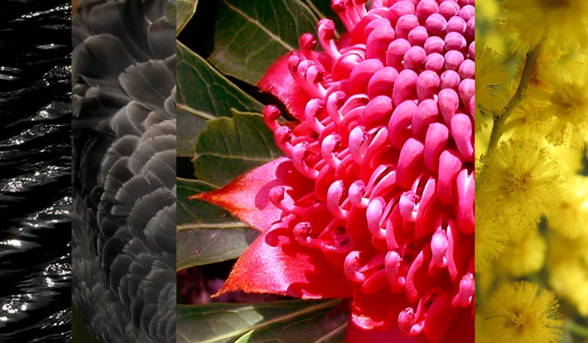 Indigenous Food and Medicine with Frances Bodkin