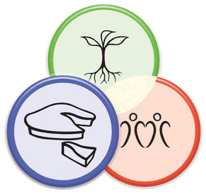 What Is Real Sustainability Q&A Panel