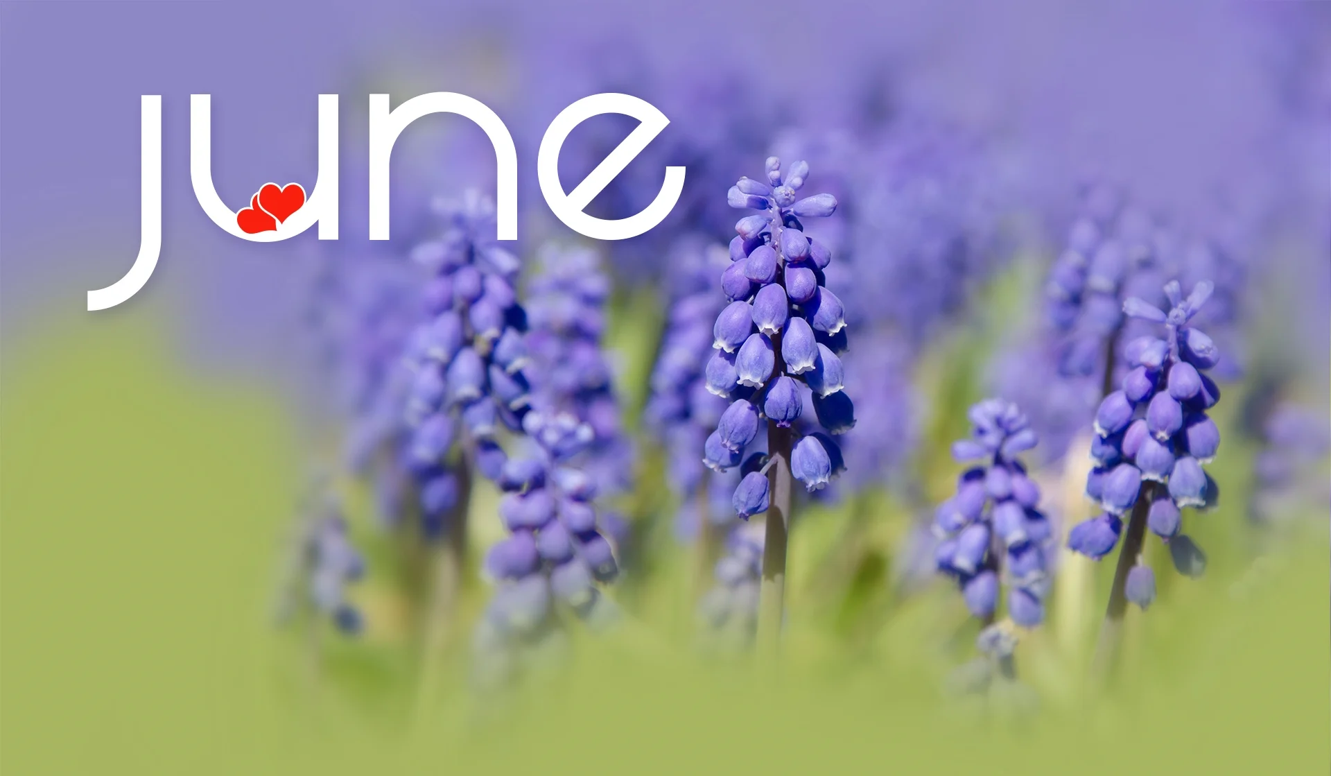 What's On | June 2015