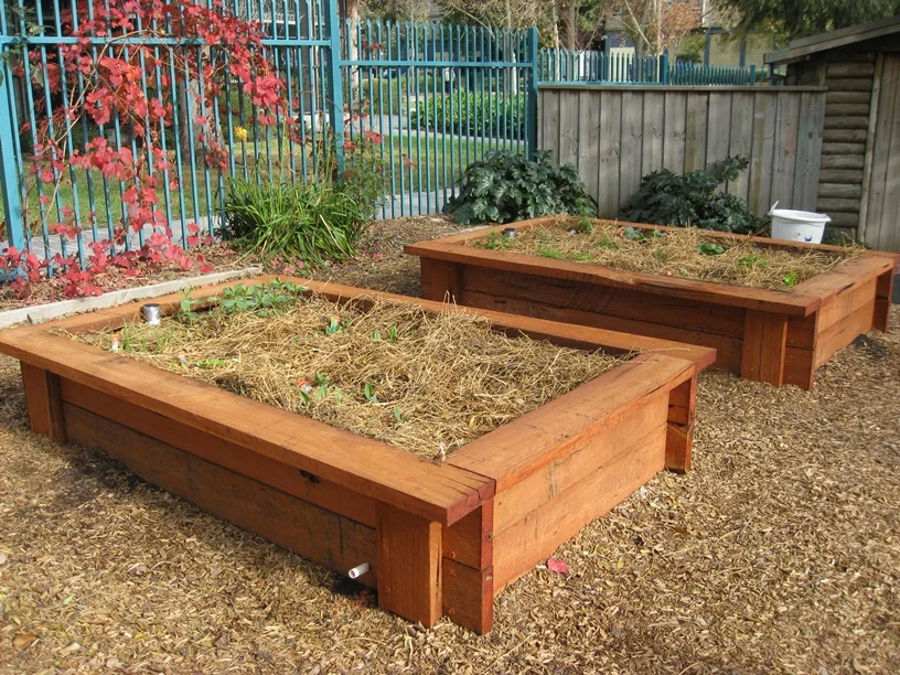 PERMABEE - CREATING A WICKING BED IN A COMMUNAL SPACE