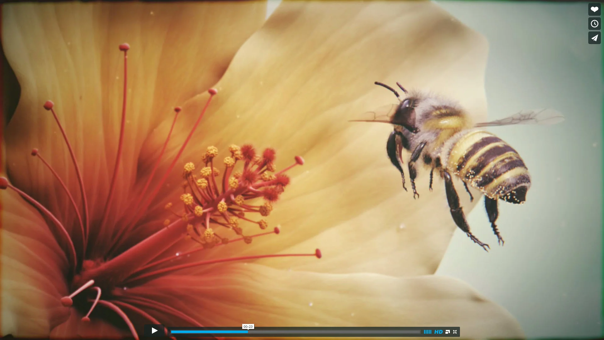 BEE - 3D animated short