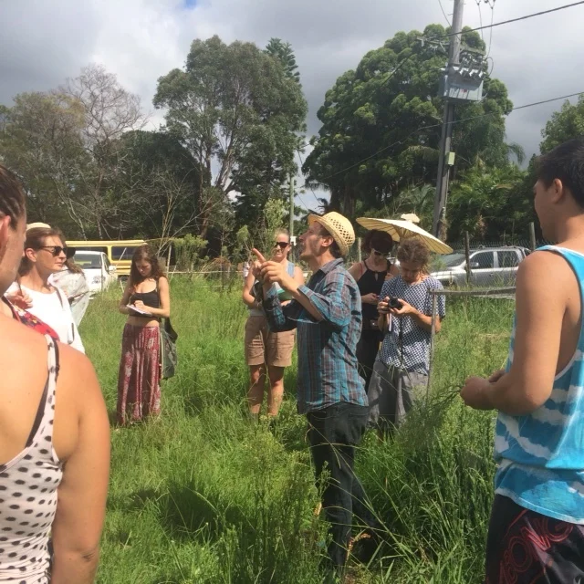 "PNB edible weeds tour with Diego Bonetto" - Elle