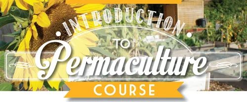Introduction to Permaculture certificate - weekend course  BOOKED OUT