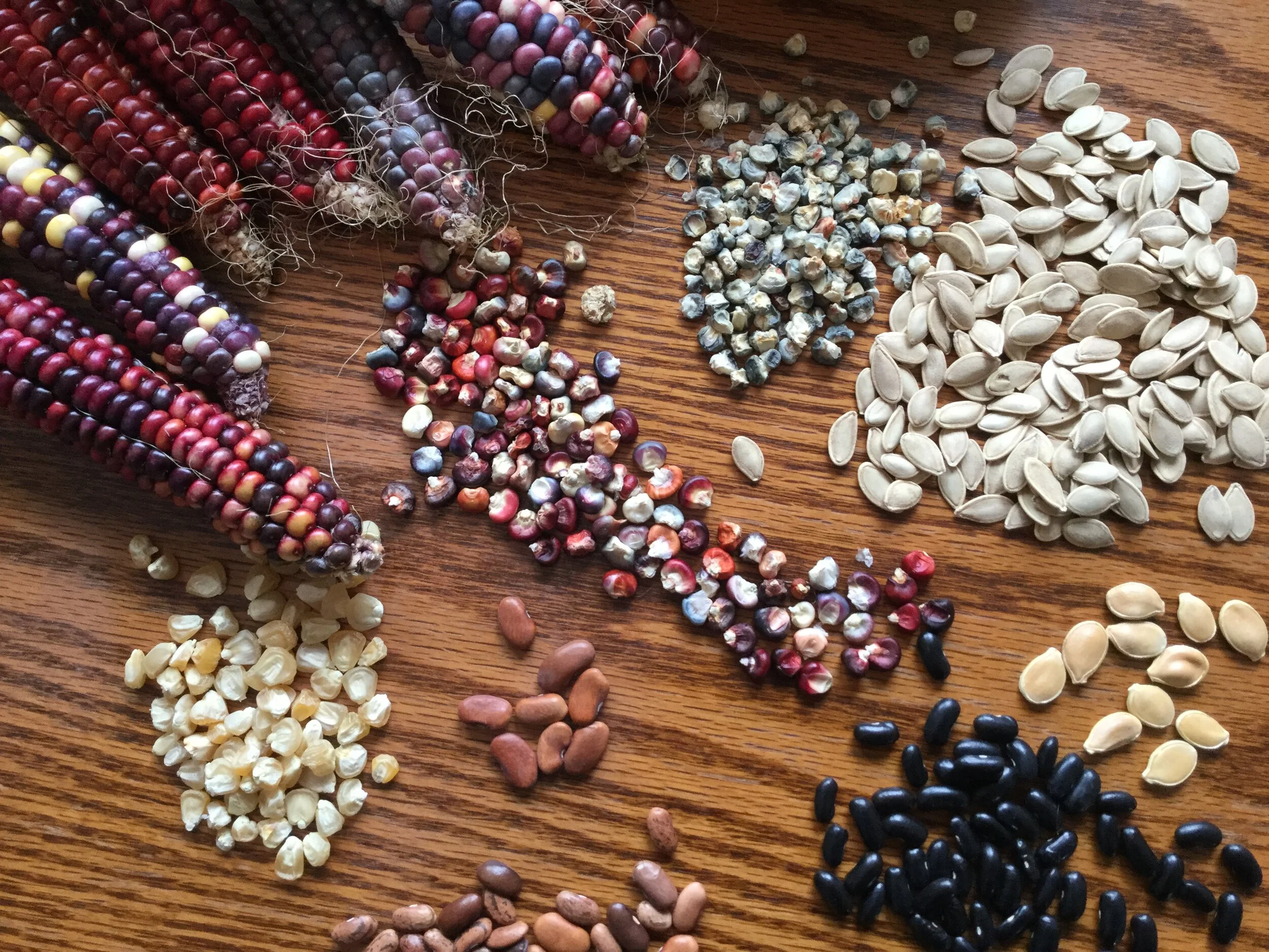 SOLD OUT - Seed Saving Gathering