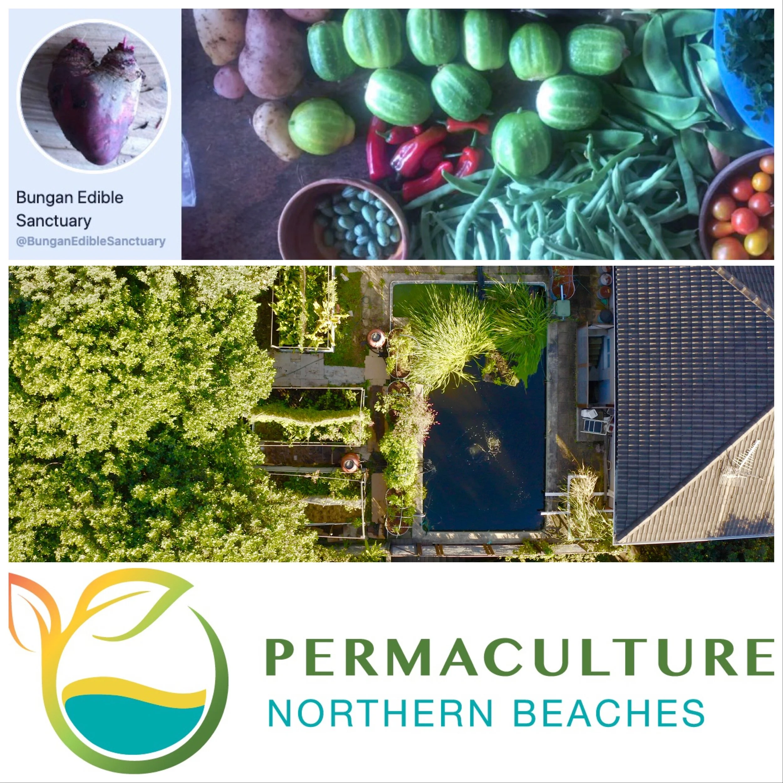  Bungan Edible Garden Tour and Live Q &amp; A Session