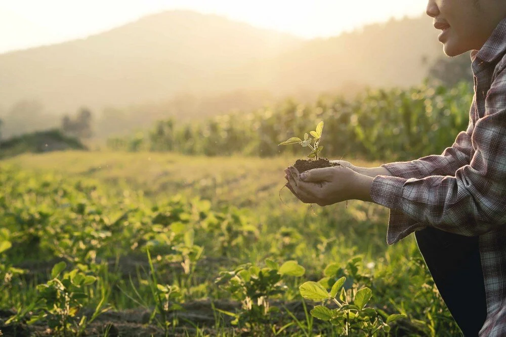 Beyond Land Regeneration: Towards an Agro-Ecological Civilisation - Webinar