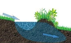 Build a Swale and Plant a Food Forest Workshop
