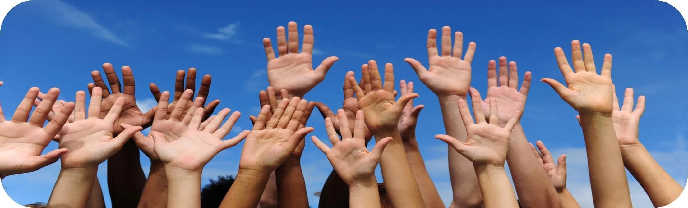 PNB volonteers-min.jpeg