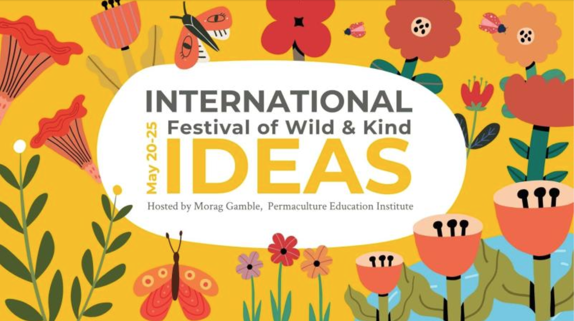INTERNATIONAL FESTIVAL OF KIND &amp; WILD IDEAS