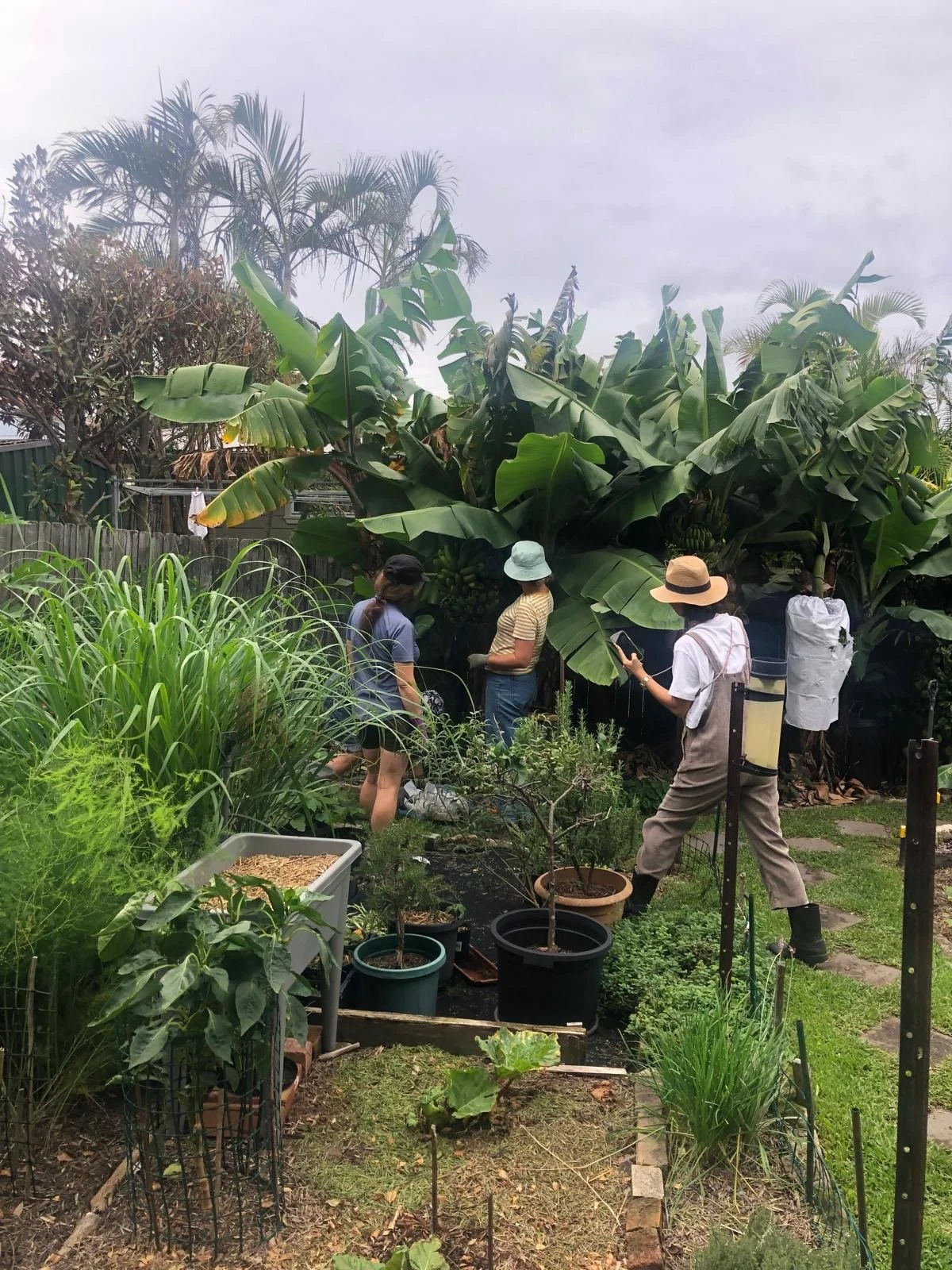 INTERNATIONAL PERMACULTURE DAY - GARDEN TOUR - 3 MAY 2026