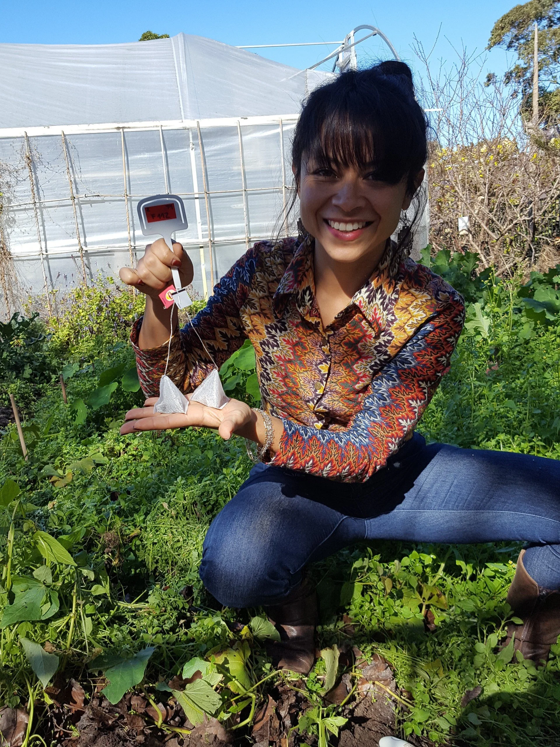 Reading Your Soil: Simple Ways to Understand Soil Health