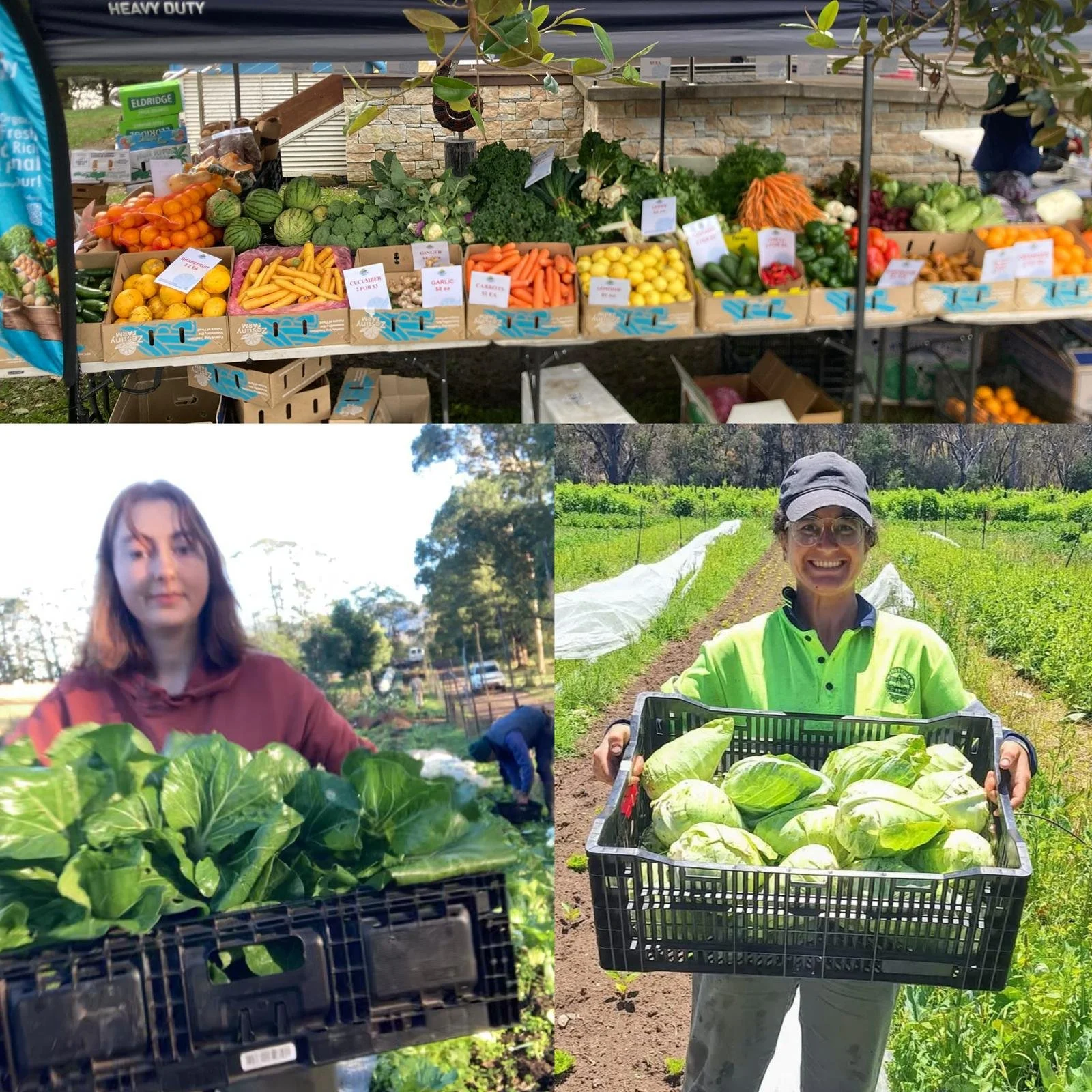 Food Justice 