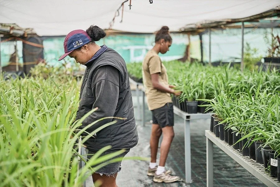 Bush to Bowl Aboriginal-owned Nursery and Social Enterprise + PNB AGM