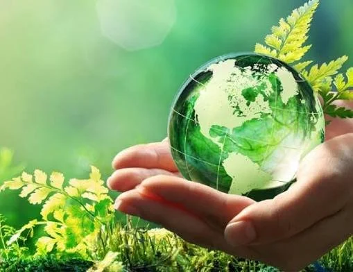 Introduction to Permaculture Course (ITP)