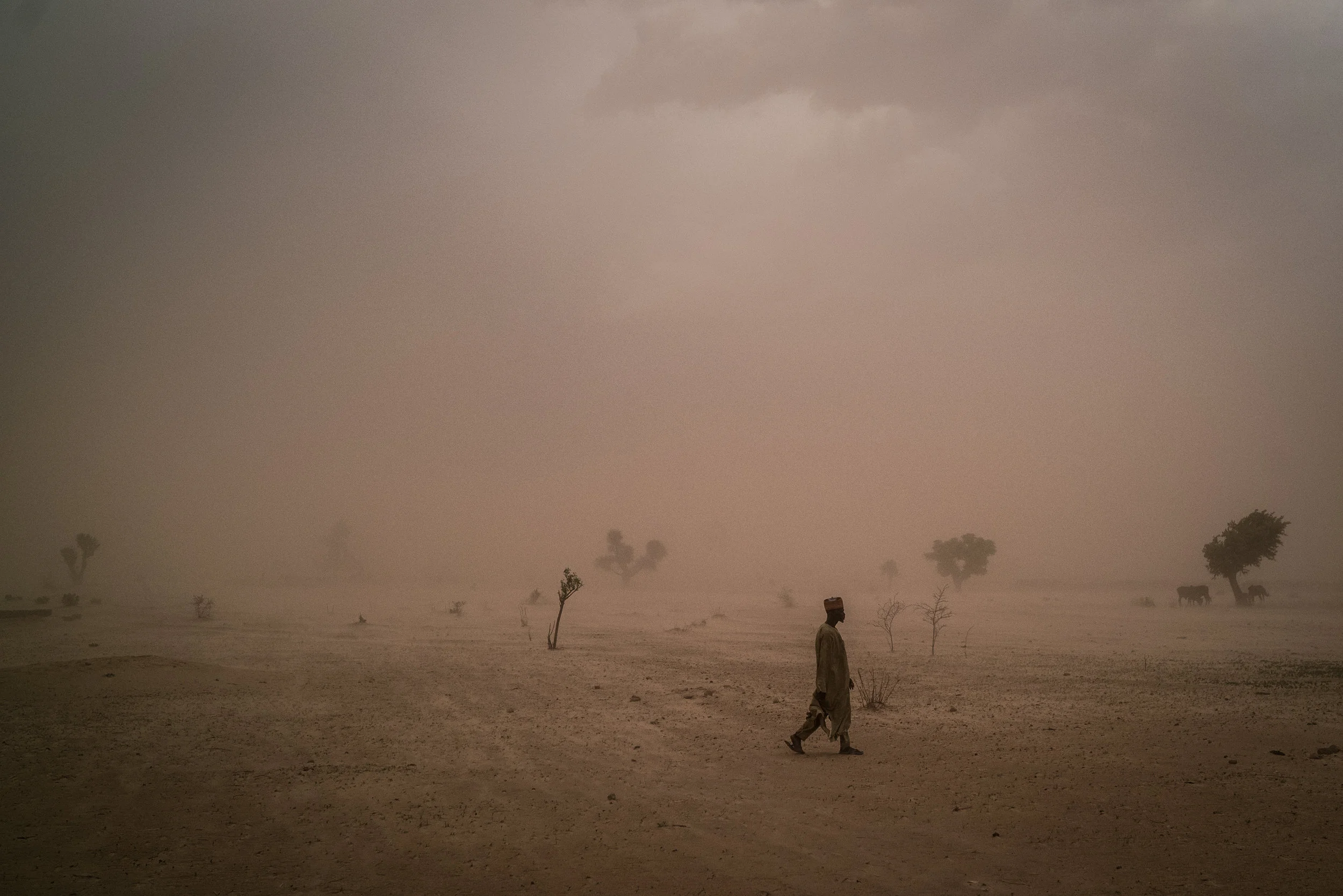 A displaced man walks across the parched land outside of Maiduguri, Nigeria.