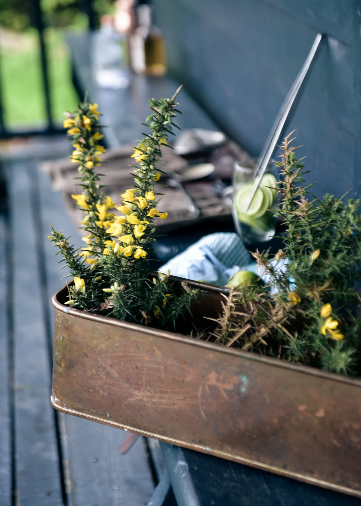Escape to the English Countryside Retreat-Part 2 Lobster Dinner Go Gorse & Conker-42.jpg