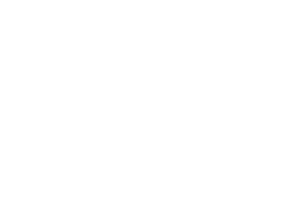 BRYCE DESIGN GROUP