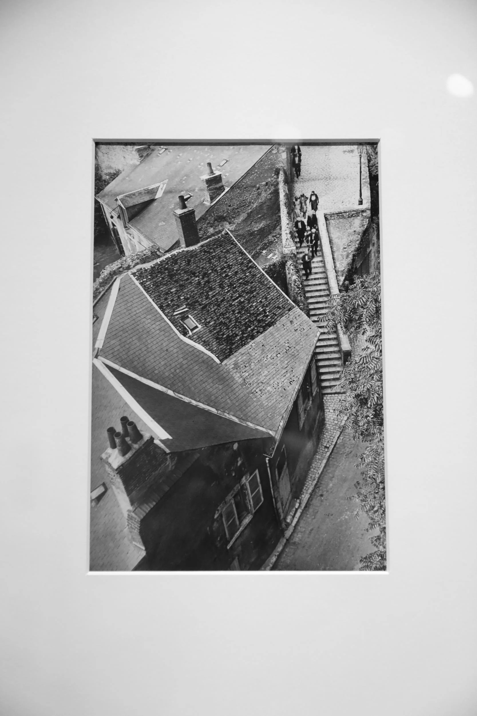_SM_8564_levels_BW.jpg