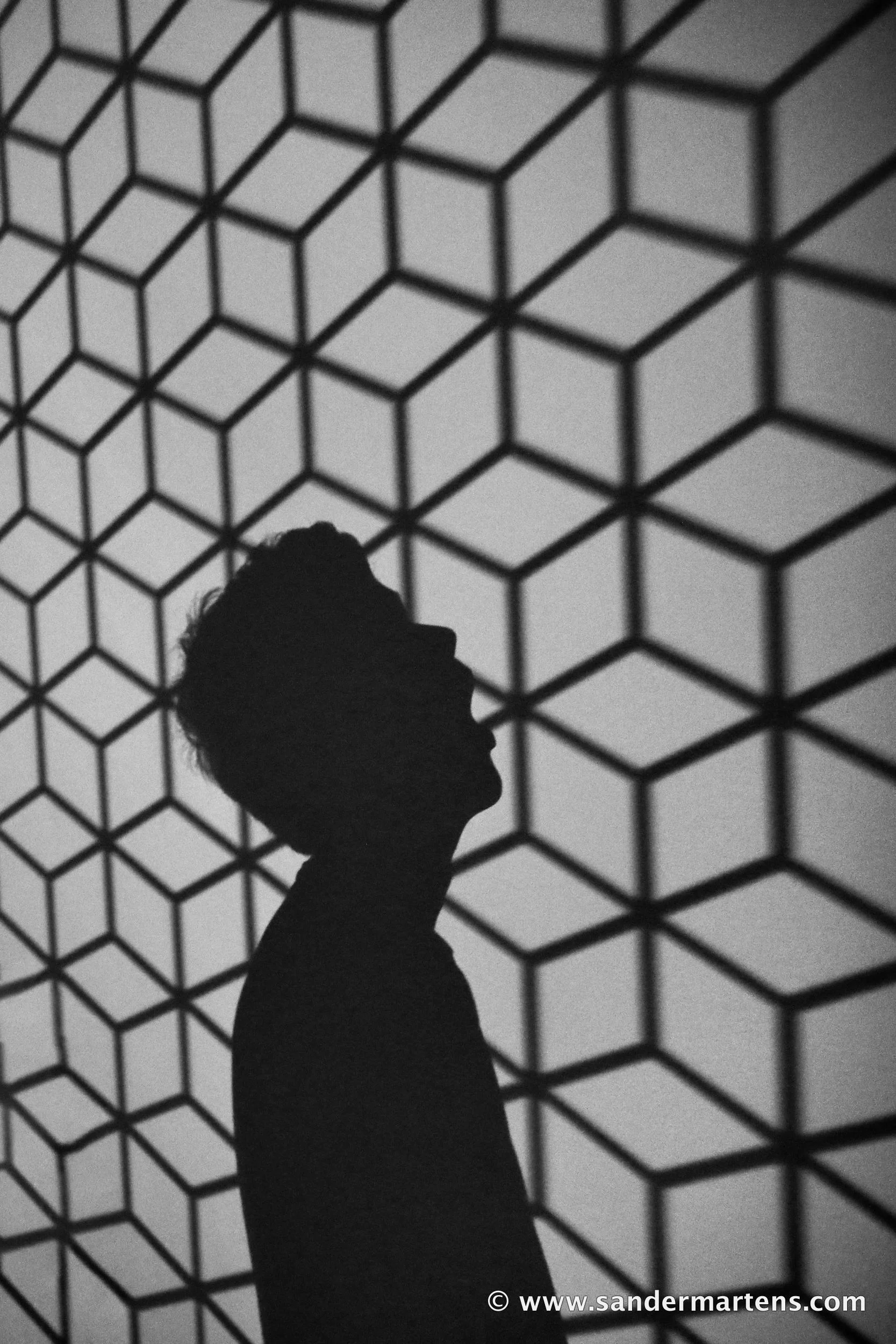 8-_SM_7848_crop_levels_smoothdynamics_BW.jpg