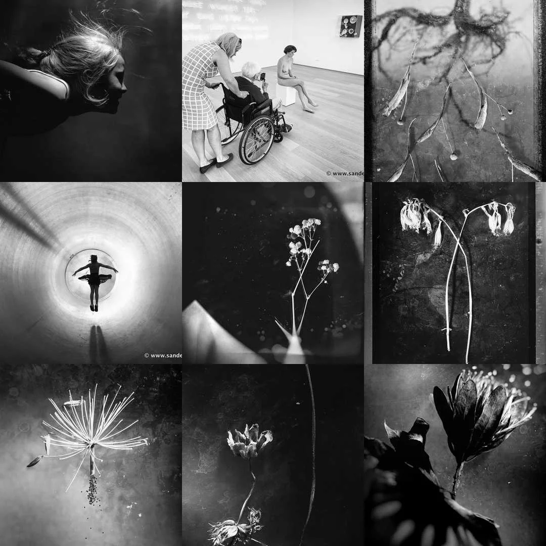 2018bestnine.jpg