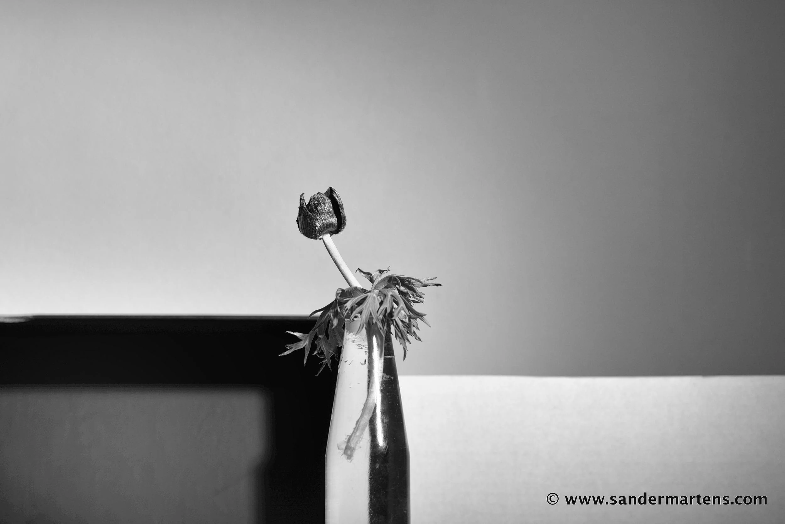 1-_SM_2141_selectbright_BW.jpg