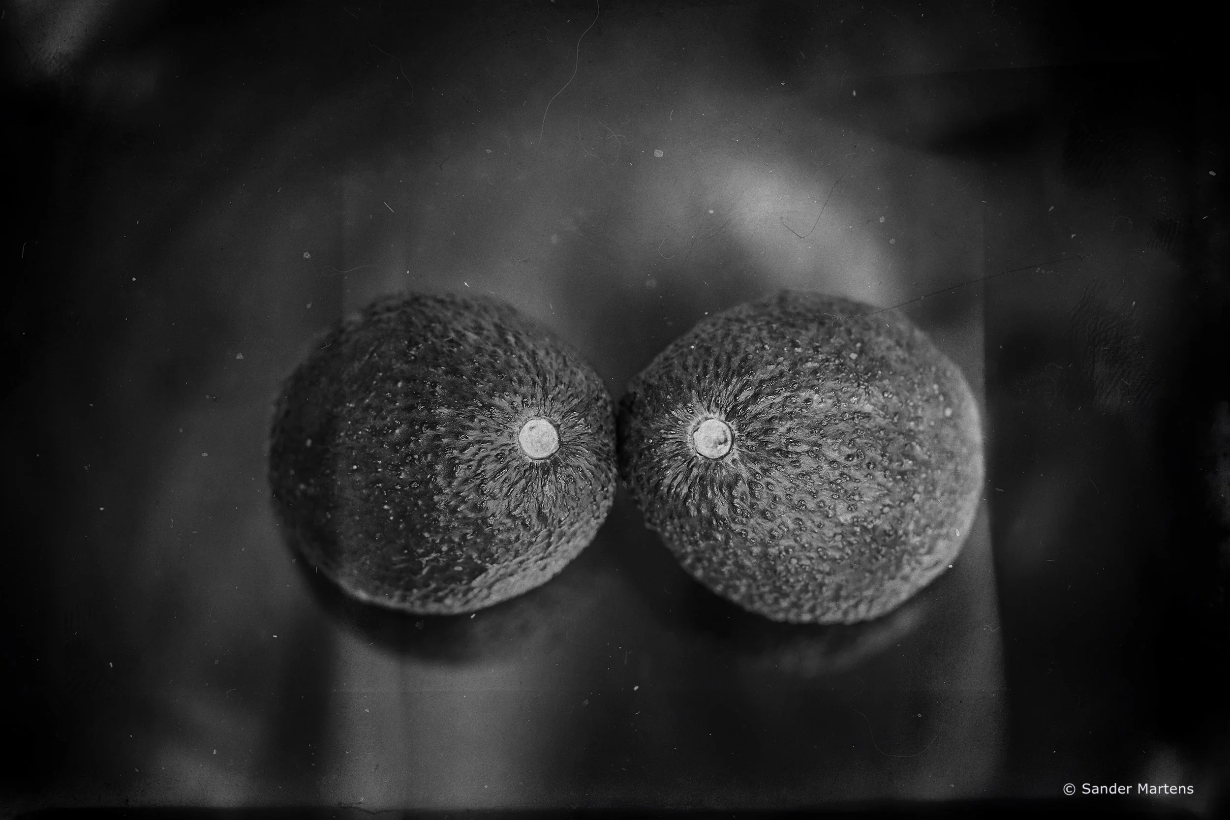 Avocado