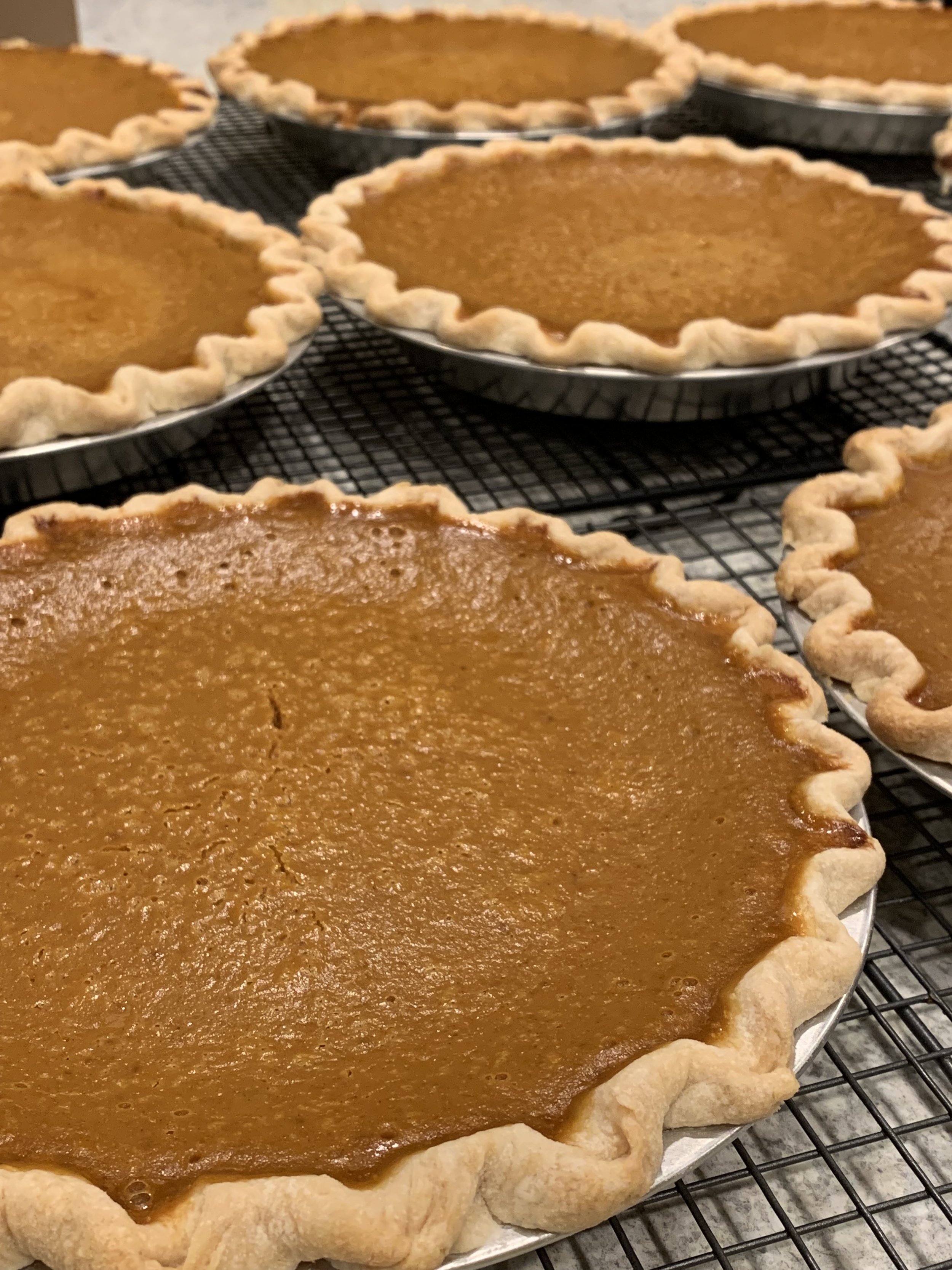 PumpkinPies.JPG