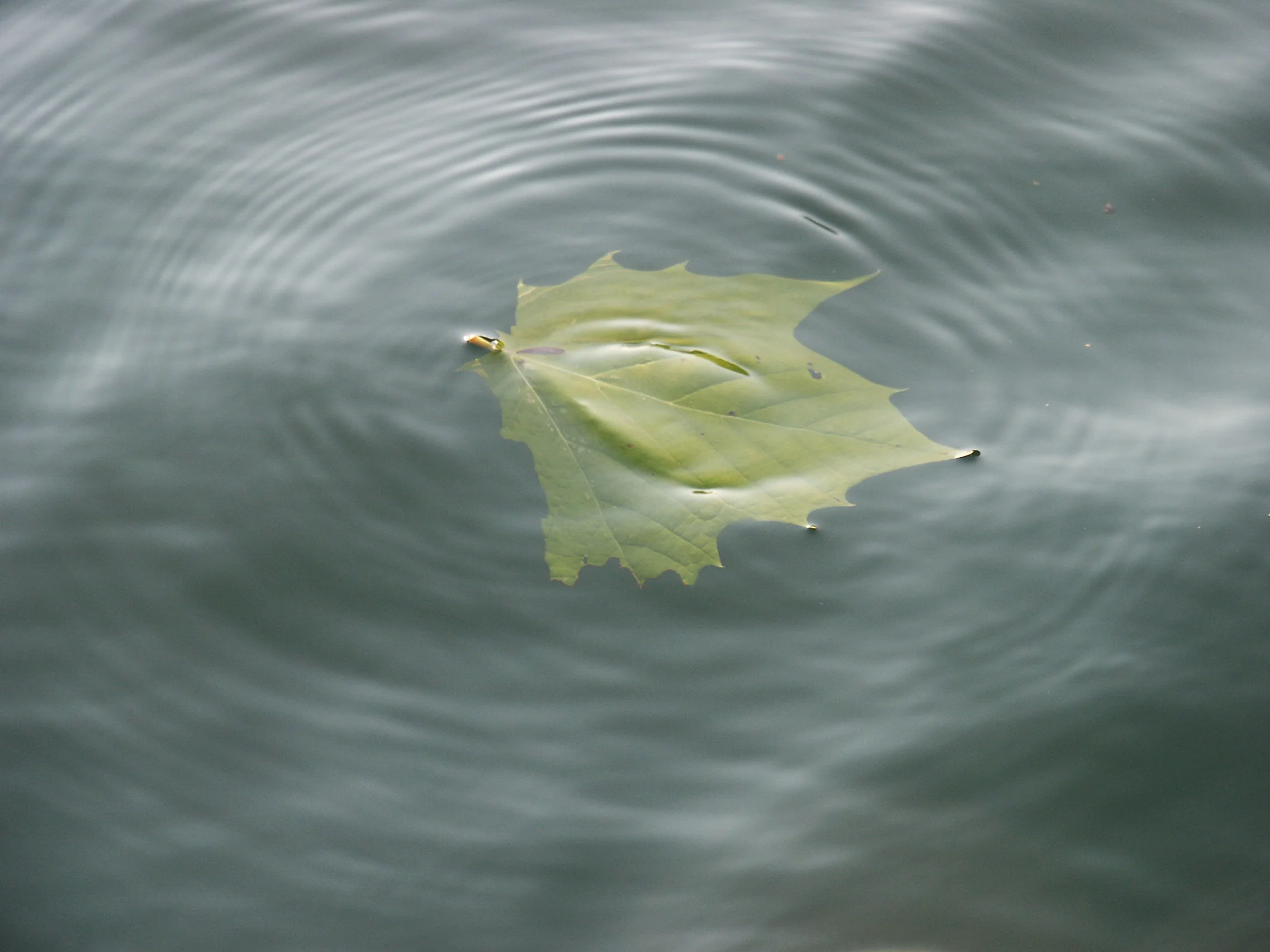 Did it! Or, the importance of getting lost