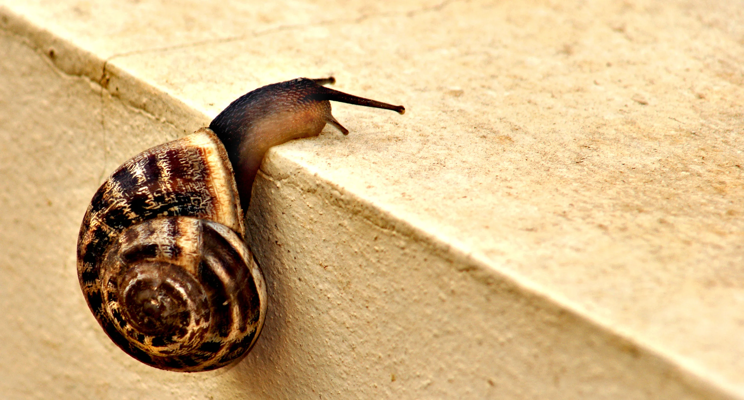 Impossible Conditions