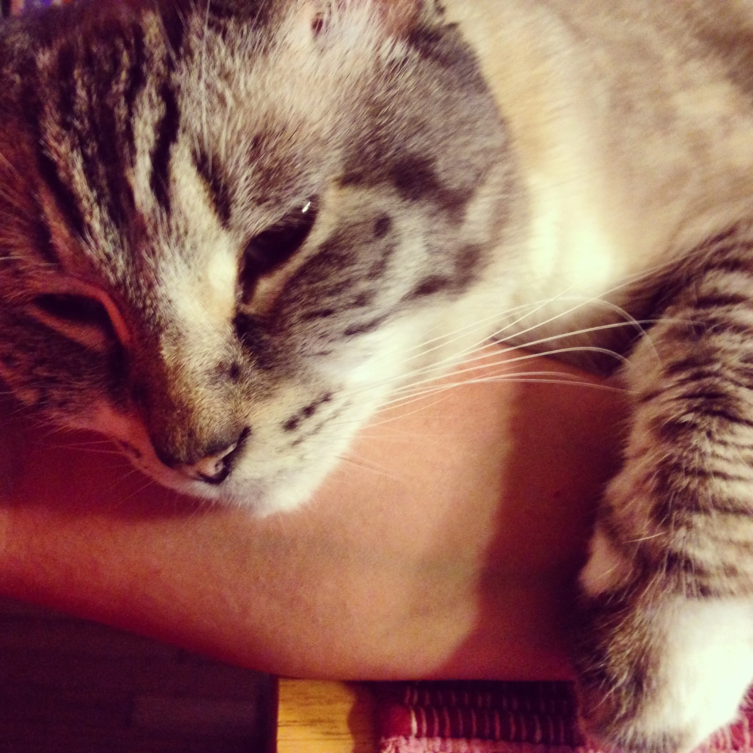 Being brought to ground by touch