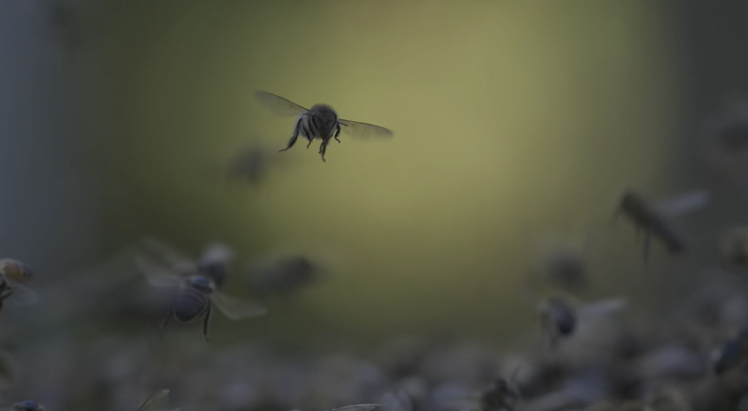 Screen Shot 2017-02-22 at 7.56.57 PM.png