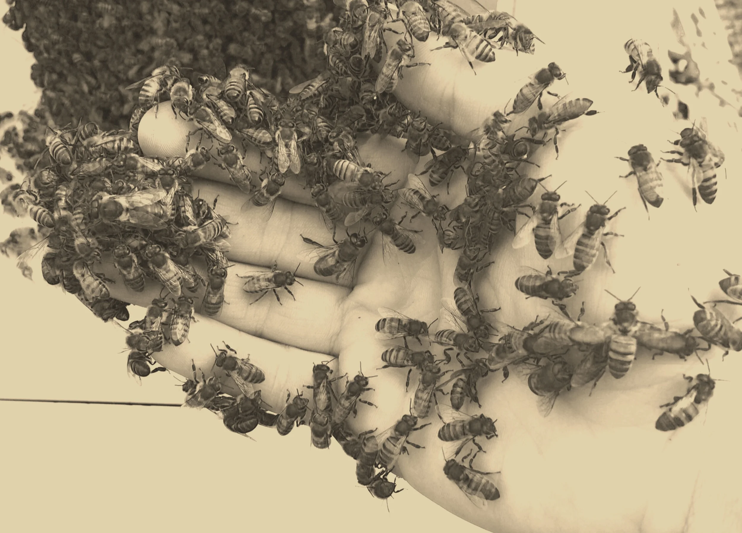 Playing with Nature.JPG