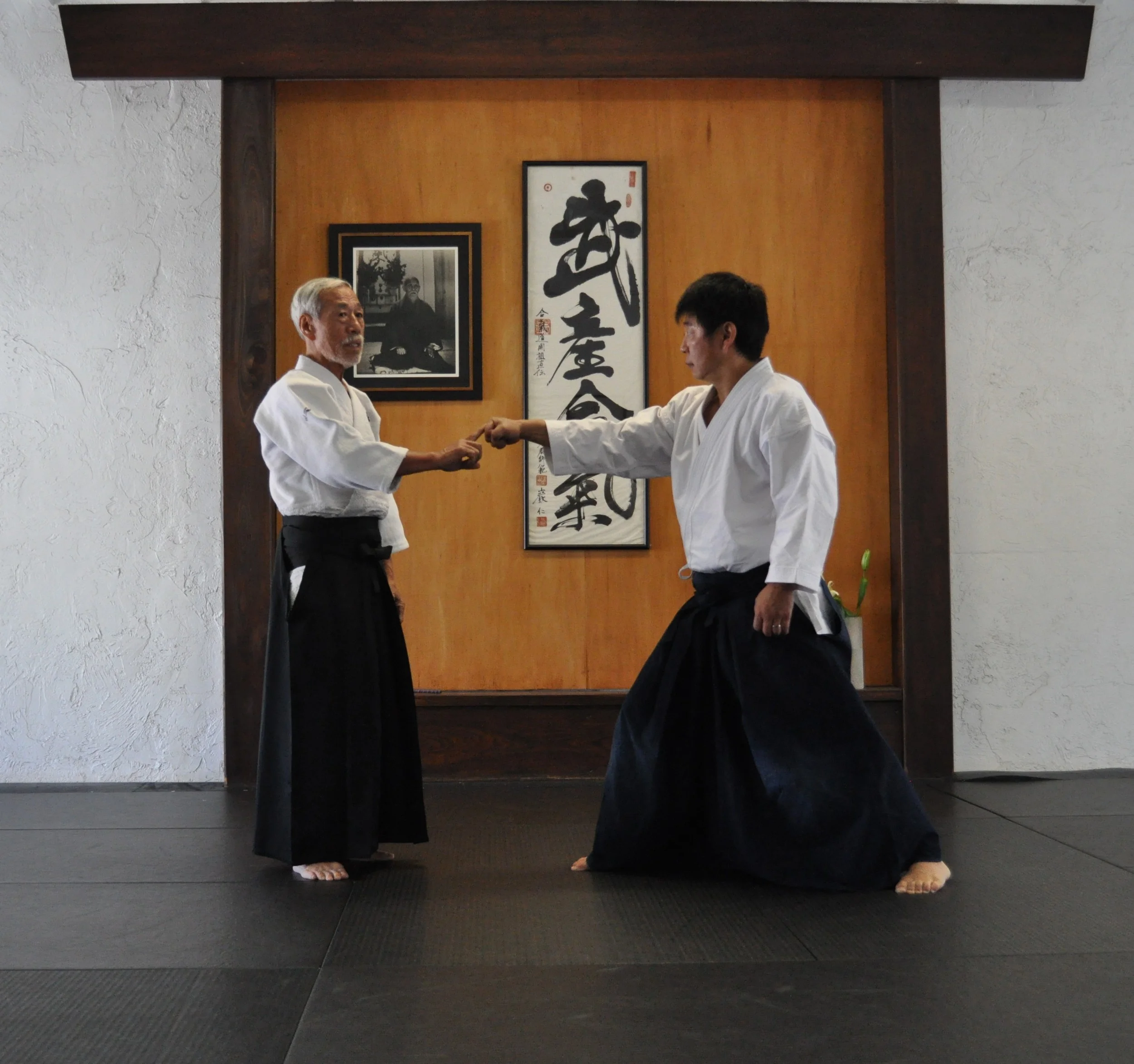 Saotome Shihan - Aug 9, 2014