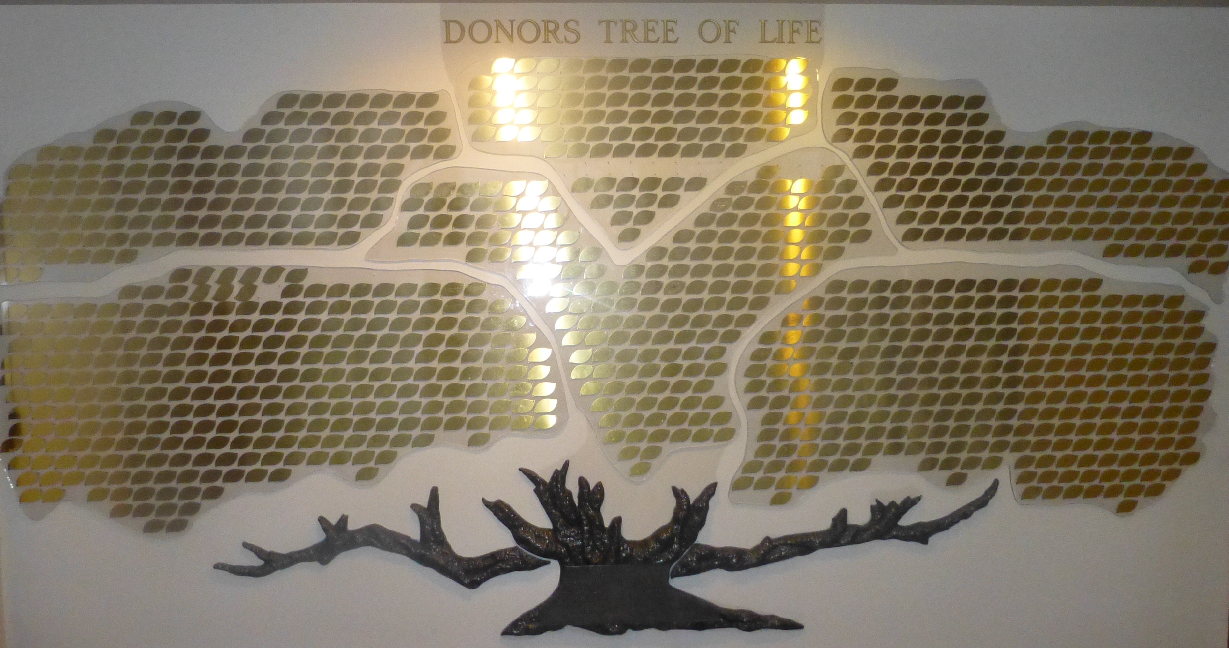 Donors Tree of Life.JPG