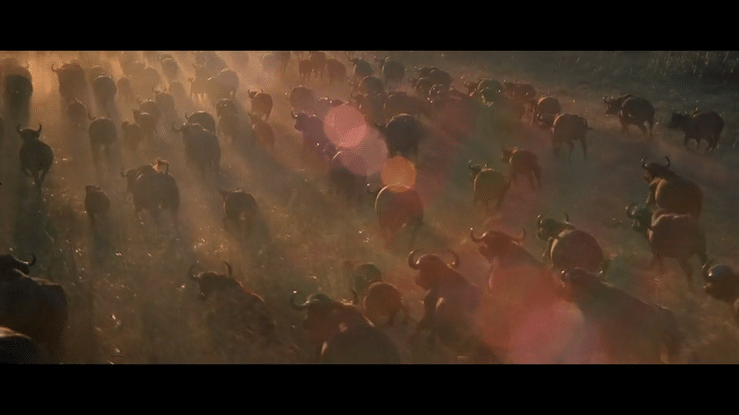 Jeep - Pale Blue Dot