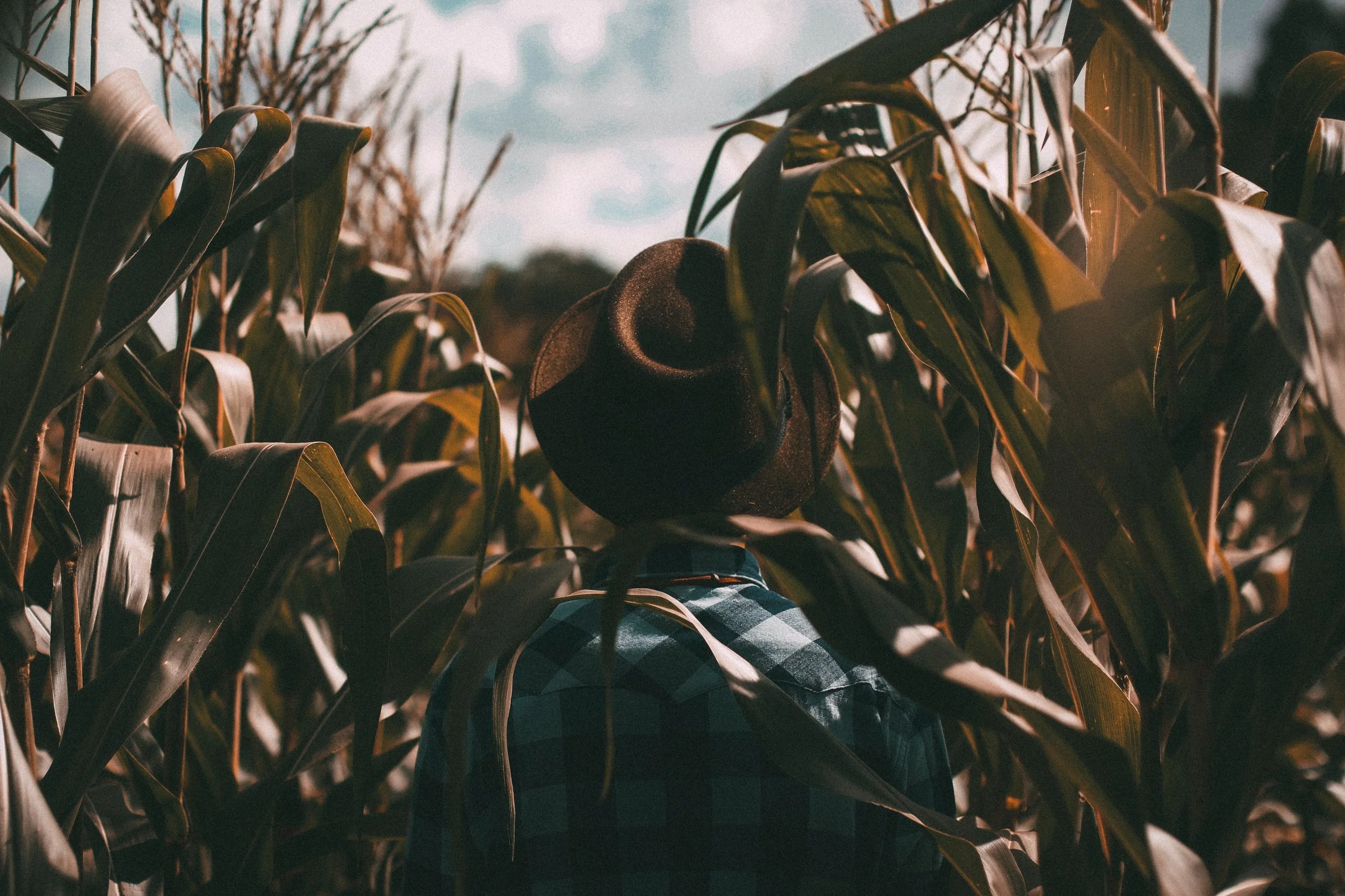 joao-silas-85835-unsplash.jpg