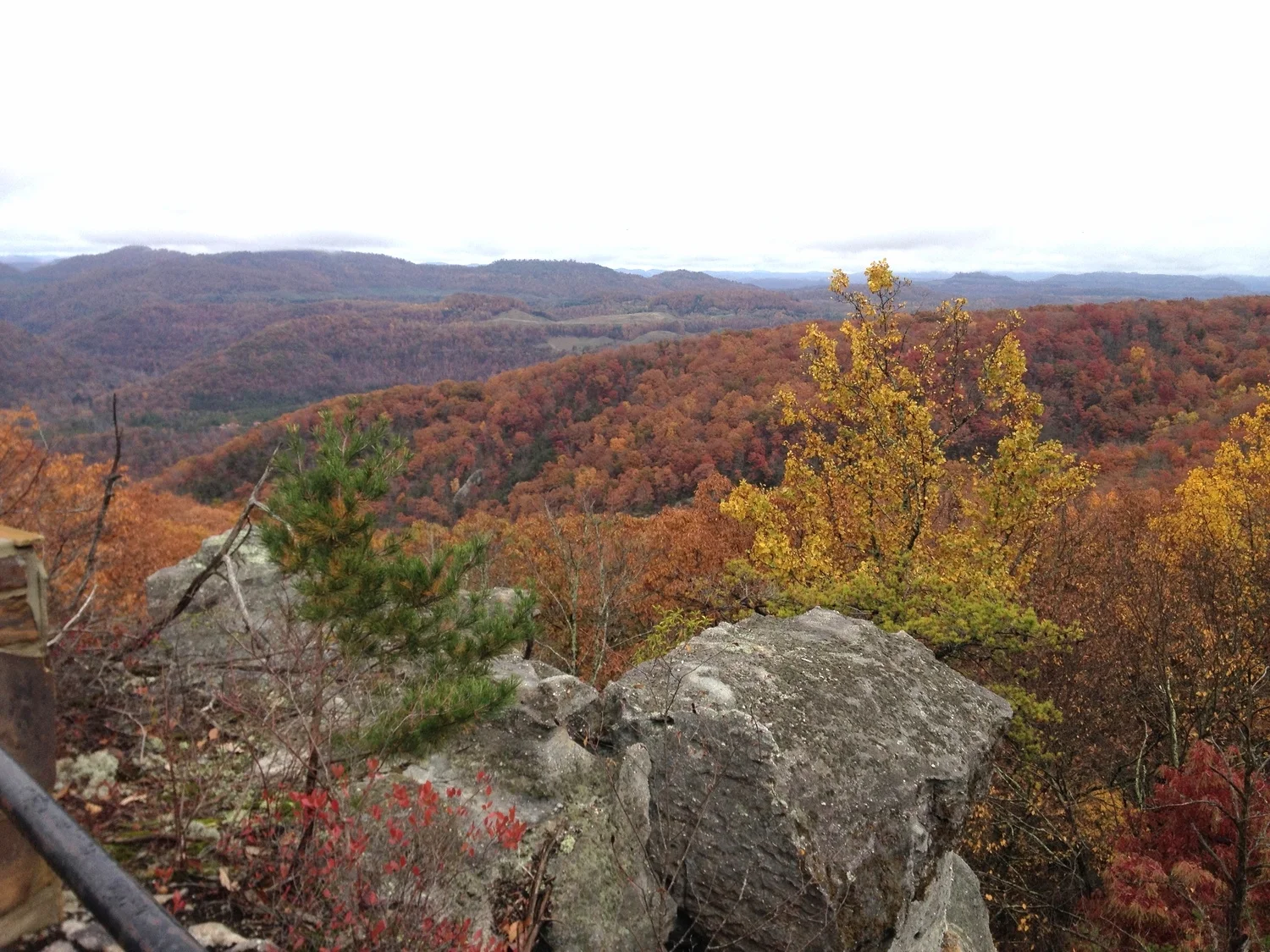 Episode 110 - "Adventures in the Cumberlands"