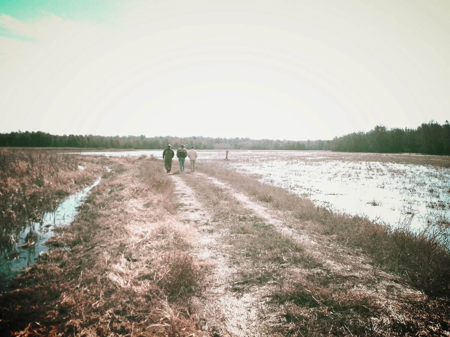 Episode 112 - "Reelfoot"