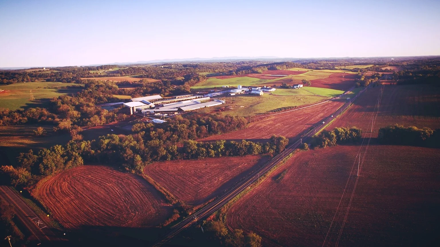 Episode 208 - "Festivals, Flights and Family Farms"