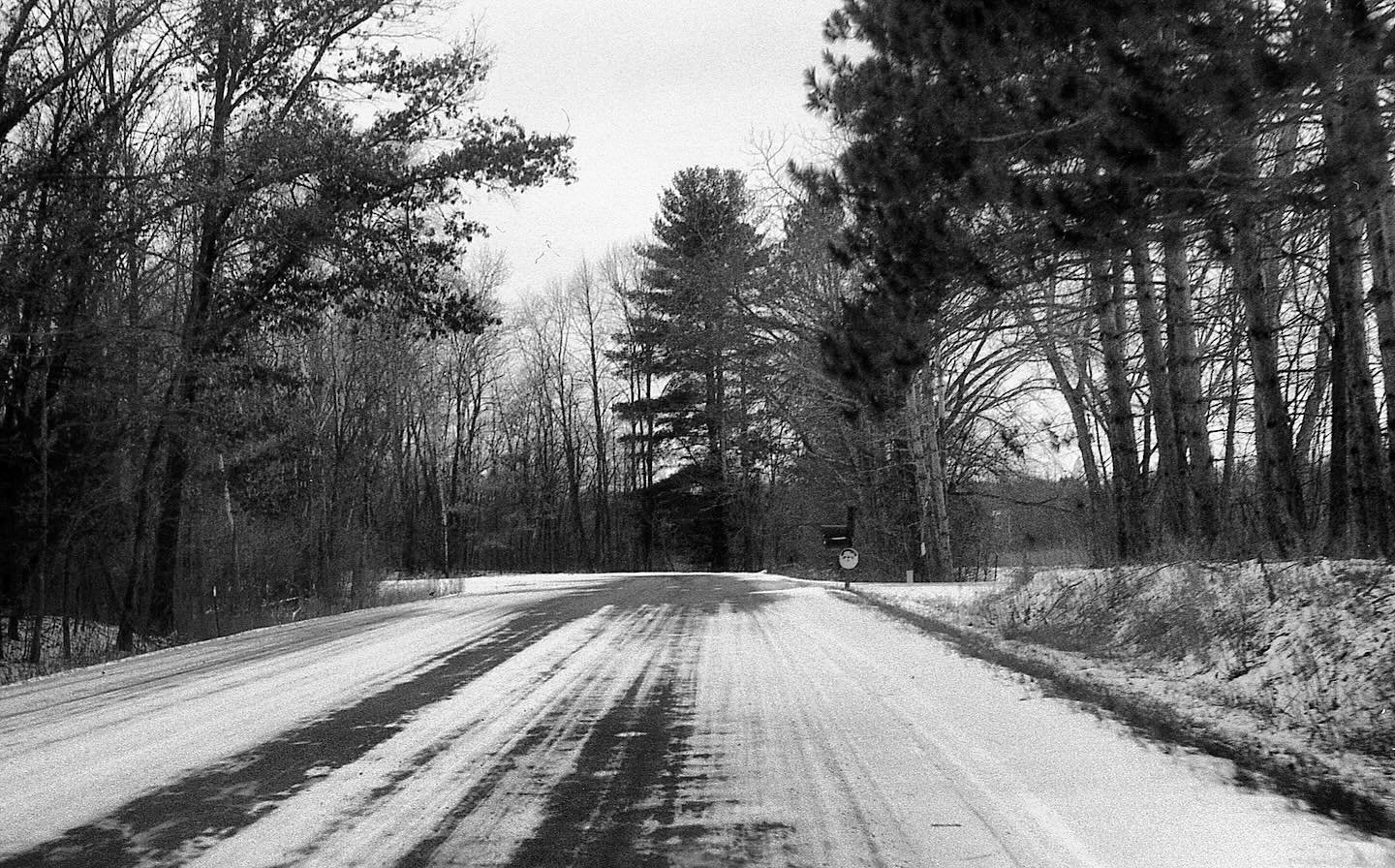 2024.01 // Forest Lake, USA
.
.
.
.
.
#film #filmphotography #analog #analogphotography #analogpeople #analogvibes #minolta #minoltagang #35mm #35mmphotography #latergram