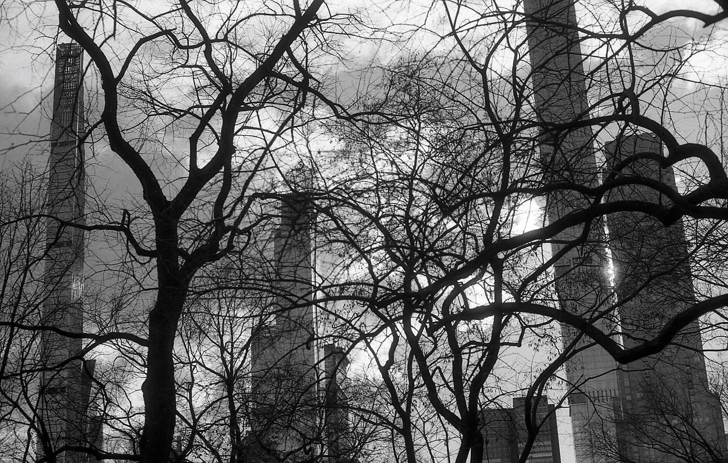 2024.01 // Central Park, USA
.
.
.
.
.
#film #filmphotography #analog #analogphotography #analogpeople #analogvibes #minolta #minoltagang #35mm #35mmphotography #latergram