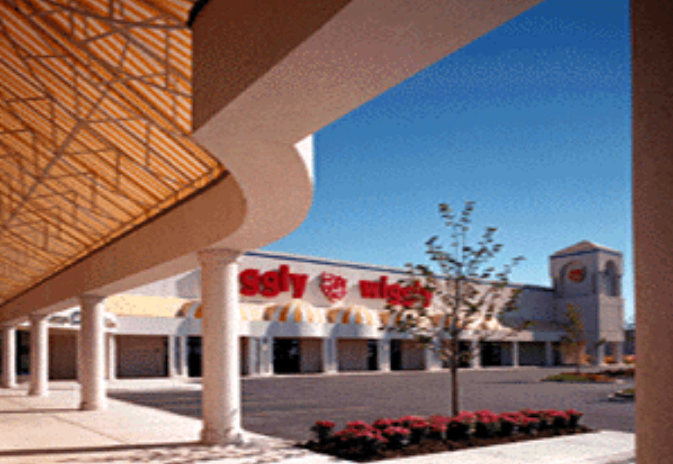  Algonquin Town Center - Piggly Wiggly 