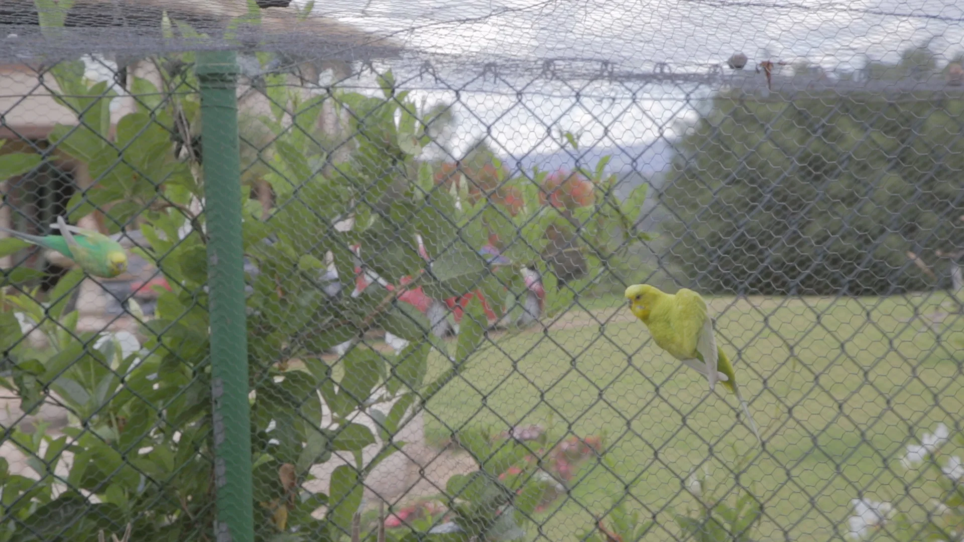 17SH8757.MOV.08_58_34_06.Still001.jpg